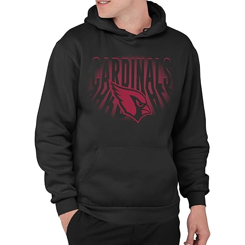 Junk Food Clothing x NFL - Arizona Cardinals - Team Spotlight - Unisex Adult Pullover Fleece Hoodie for Men and Women - Size Small