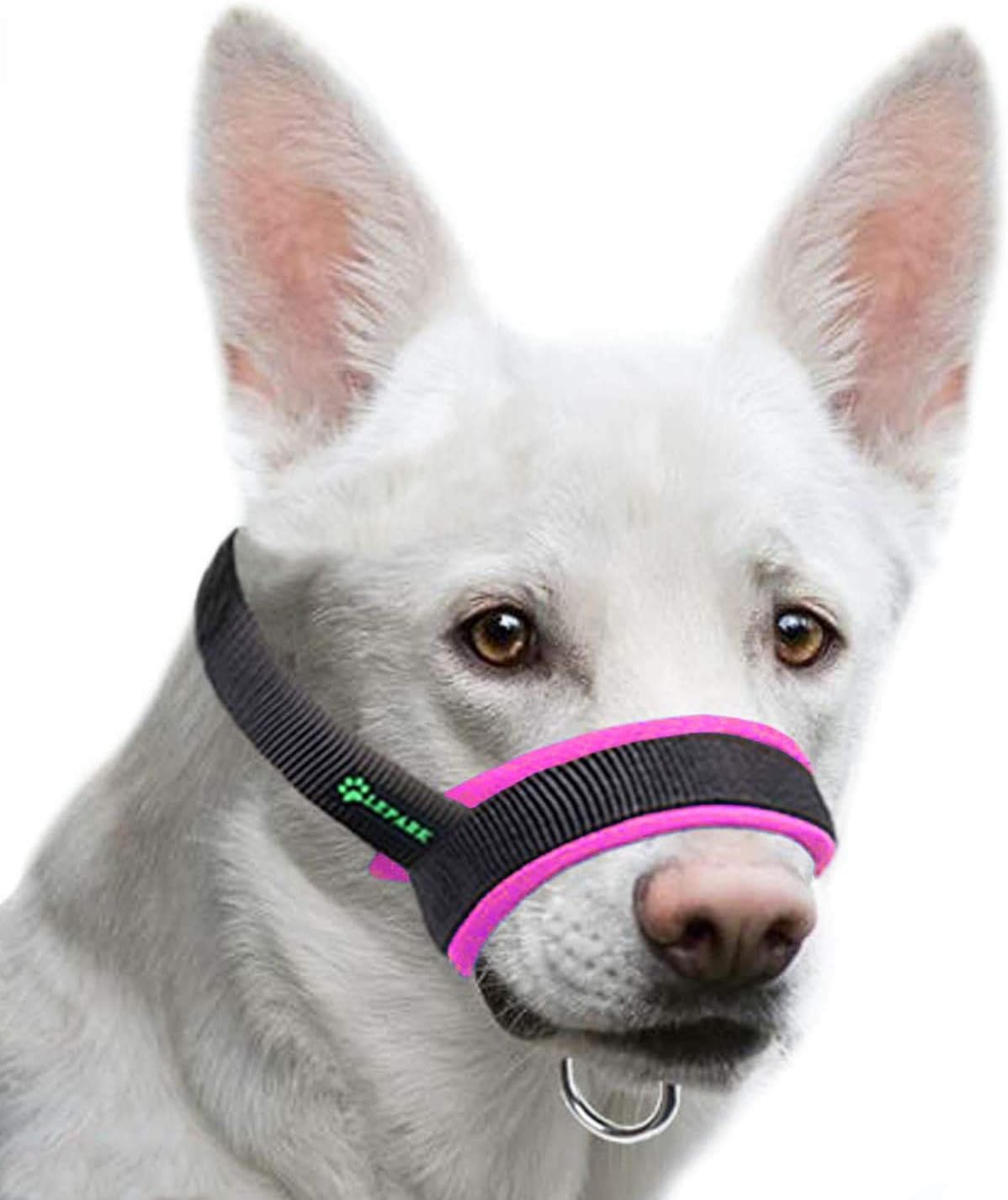 pink dog muzzle