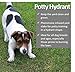 Vet Worthy Pet Potty Hydrant for Dogs - Scented Training Aid - Ideal for All Ages - Helps Dogs Track Designated Potty Spot - For a Cleaner Lawn and Safe for Dogs