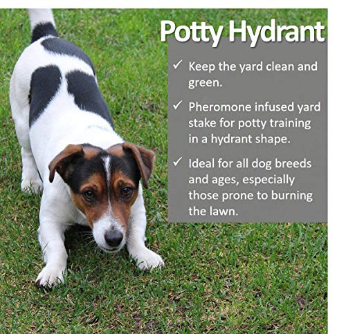 Vet Worthy Pet Potty Hydrant for Dogs