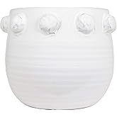 Creative Co-Op White Terracotta Planter with Bubble Design at Top