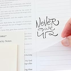 New The Bible In A Year: A 52-Week Bible Study For
