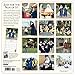 Nuns Having Fun Wall Calendar 2020