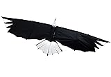 Revolution Kites 3D Eagle Quad-Line Stunt Wing 8 ft