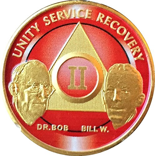 2 Year Founders AA Medallion Red Gold Plated Chip