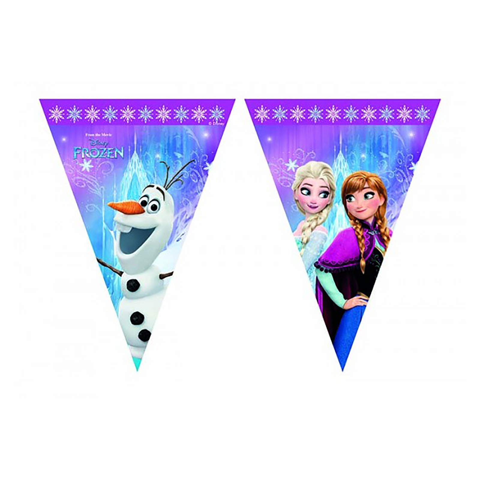 Birthday Party Supply Frozen Northern Lights Triangle 9 Flags