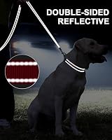Taglory Dog Leads for Small Medium Dogs Reflective Padded Handle 2cm x 120cm Red view 5