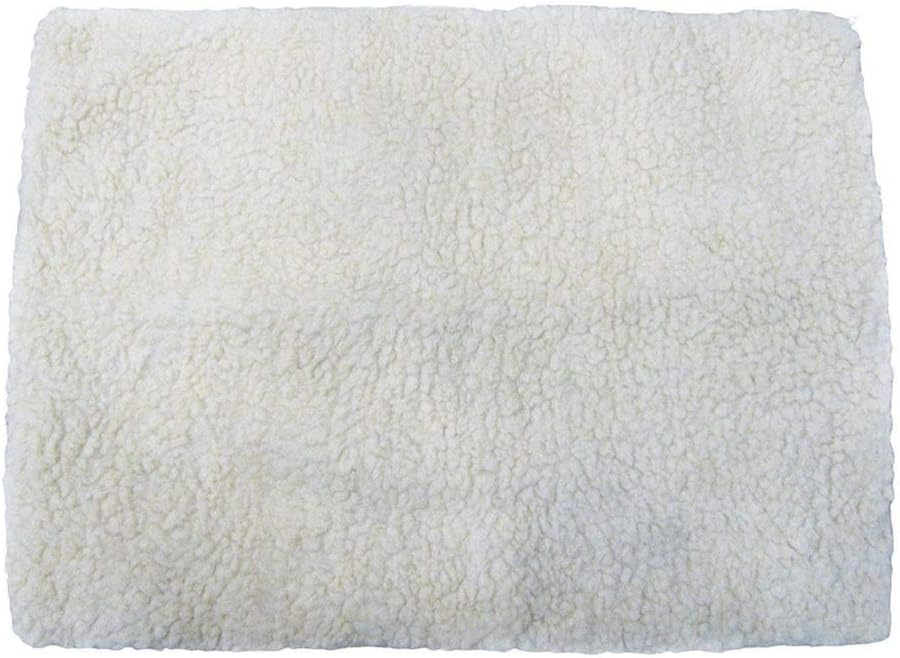 Which Is The Best Self Heating Cat Bed Silent