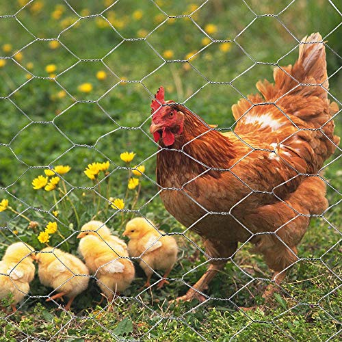 MTB 20GA Galvanized Hexagonal Poultry Netting