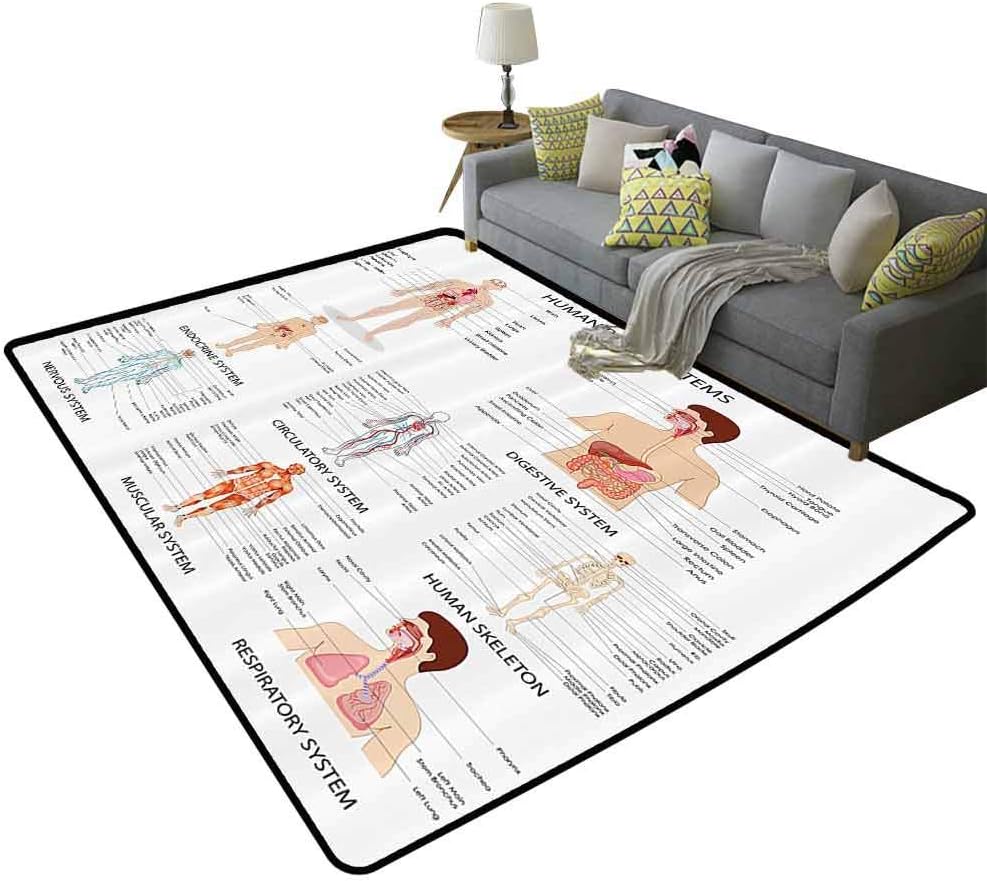 Human Anatomy Soft Rug Complete Chart of Different Organ Body Structures Cell Life Medical Illustration Playing on The Carpet Multi, 5'x 6'(150x180cm)