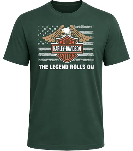 Harley-Davidson Men's Sturgis Skull 2 Short Sleeve T-Shirt (Small