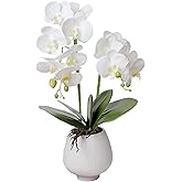 BUCHIXC Orchid Artificial Orchids Flowers with Vase White Phalaenopsis Plant Silk Faux Orchids Fake Flowers Arrangements for Home Decoration Living Room Office Bedroom Bathroom Kitchen Dining Room
