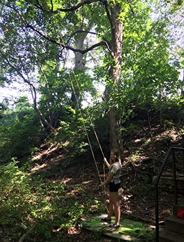 2 High+Limb+Chain+Saw+CS+26