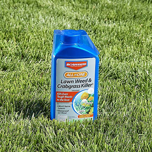 BioAdvanced AllinOne Lawn Weed & Crabgrass Killer 32 oz Concentrate for Dandelions, Crabgrass