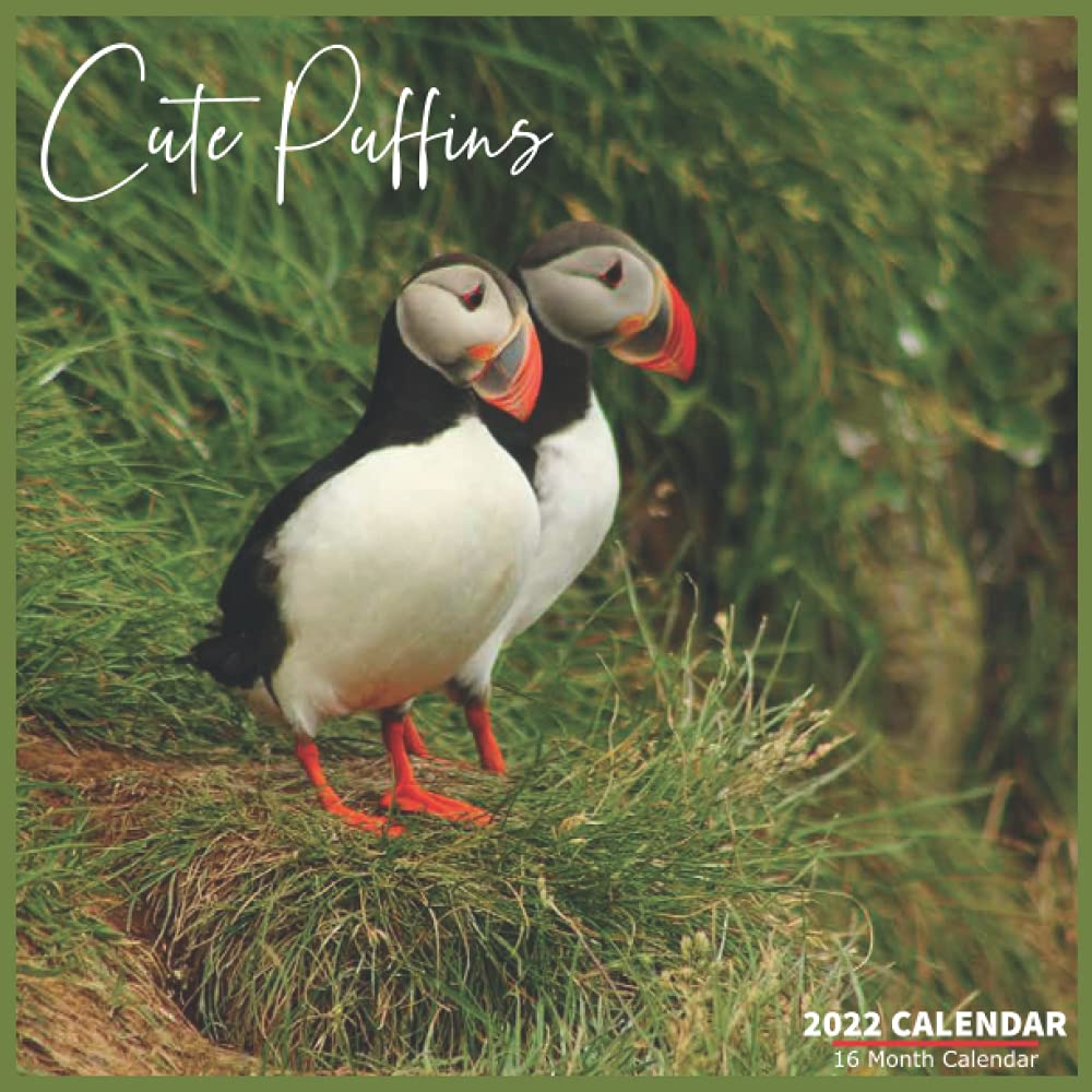 Calendrier Greves Mai 2023 Cute Puffins Calendar 2022: Official Puffins Calendar 2022, 16 Month  Calendar 2022: 2022, Puffins Calendar: 9798528159928: Amazon.com: Books