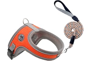 Dog Harness and Leash Set, No Pull Saddle Style Pet Harness, Breathable Mesh Adjustable Reflective Dog Vest for Dogs and Cat 