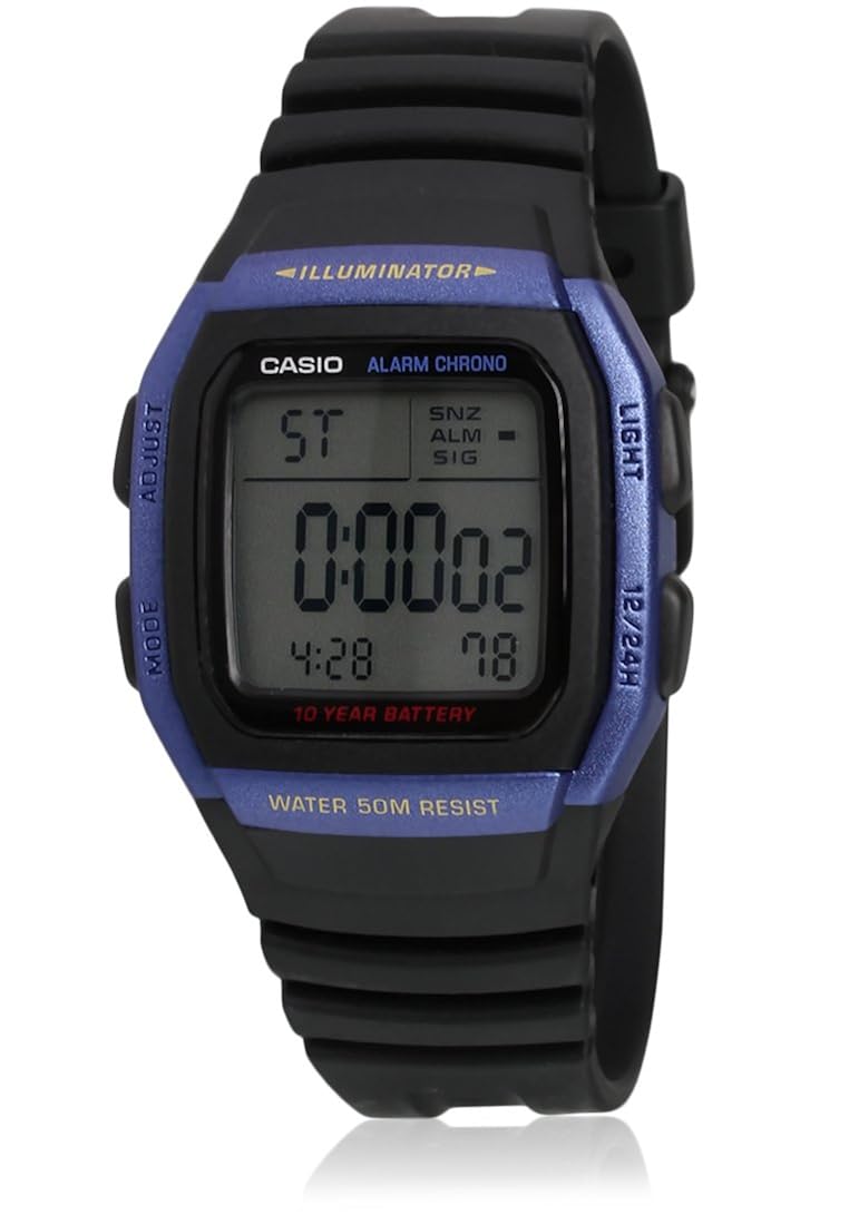 casio d034