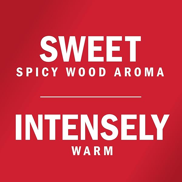 MCCORMICK GROUND CINNAMON 2.37OZ (2 PACK)