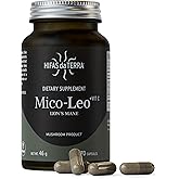 Hifas de Terra Mico-Leo - Organic Lions Mane Supplement Capsules, Lion's Mane Mushroom Extract, Nootropic for Brain, Focus, and Memory for Adults - 70 Vegan Capsules