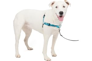PetSafe Easy Walk Deluxe Dog Harness, No Pull Dog Harness – Perfect for Leash & Harness Training – Stops Pets from Pulling and Choking on Walks – Medium/Large, Ocean