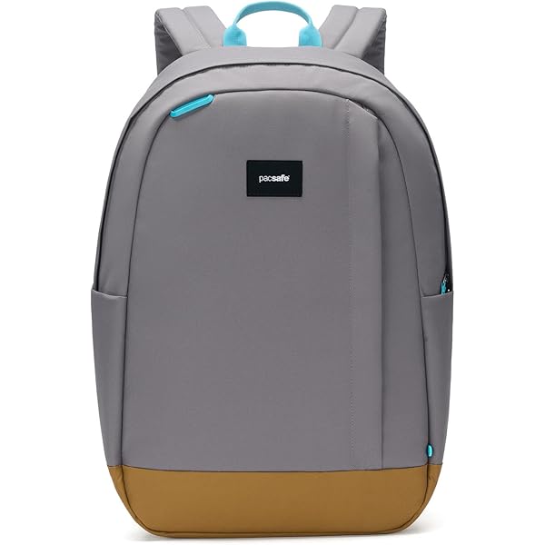 Mochila De Mano Pacsafe Go Antirrobo De 34 Litros, Negro | Cuotas Sin