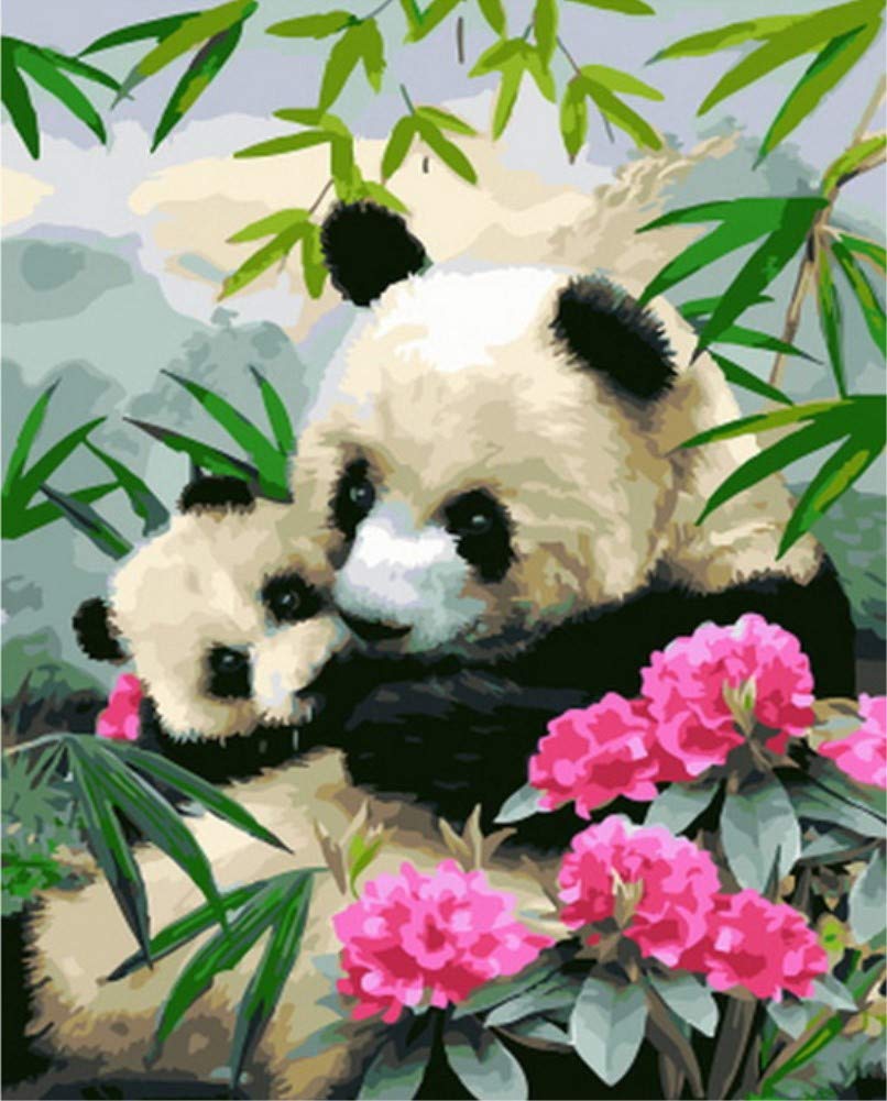 ABEUTY DIY Malen nach Zahlen für Erwachsene Junior Kinder, Panda Blume Bambus 40x50cm Weihnachten Valentinstag Geschenk