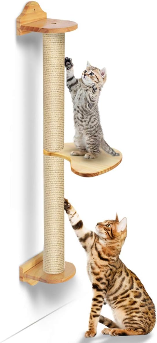 Best cat hammock scratching post