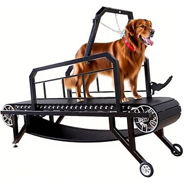 Pet Gym Equipment: Ultimate Guide to Boost Your Pet’s Fitness