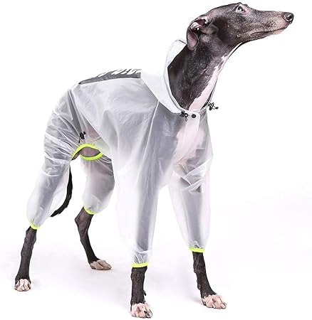 dog rain coats amazon