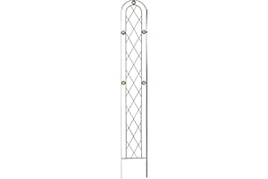 Arcadia Garden Products TR03 Arched Garden Trellis 6' x 10", Black