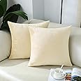 mixeoo Comfy Cream Throw Pillow Covers Decorative Square Velvet Super Soft White Cushion Couch Cases for Livingroom Sofa Decor, Set of 2, 18 x 18 Inch