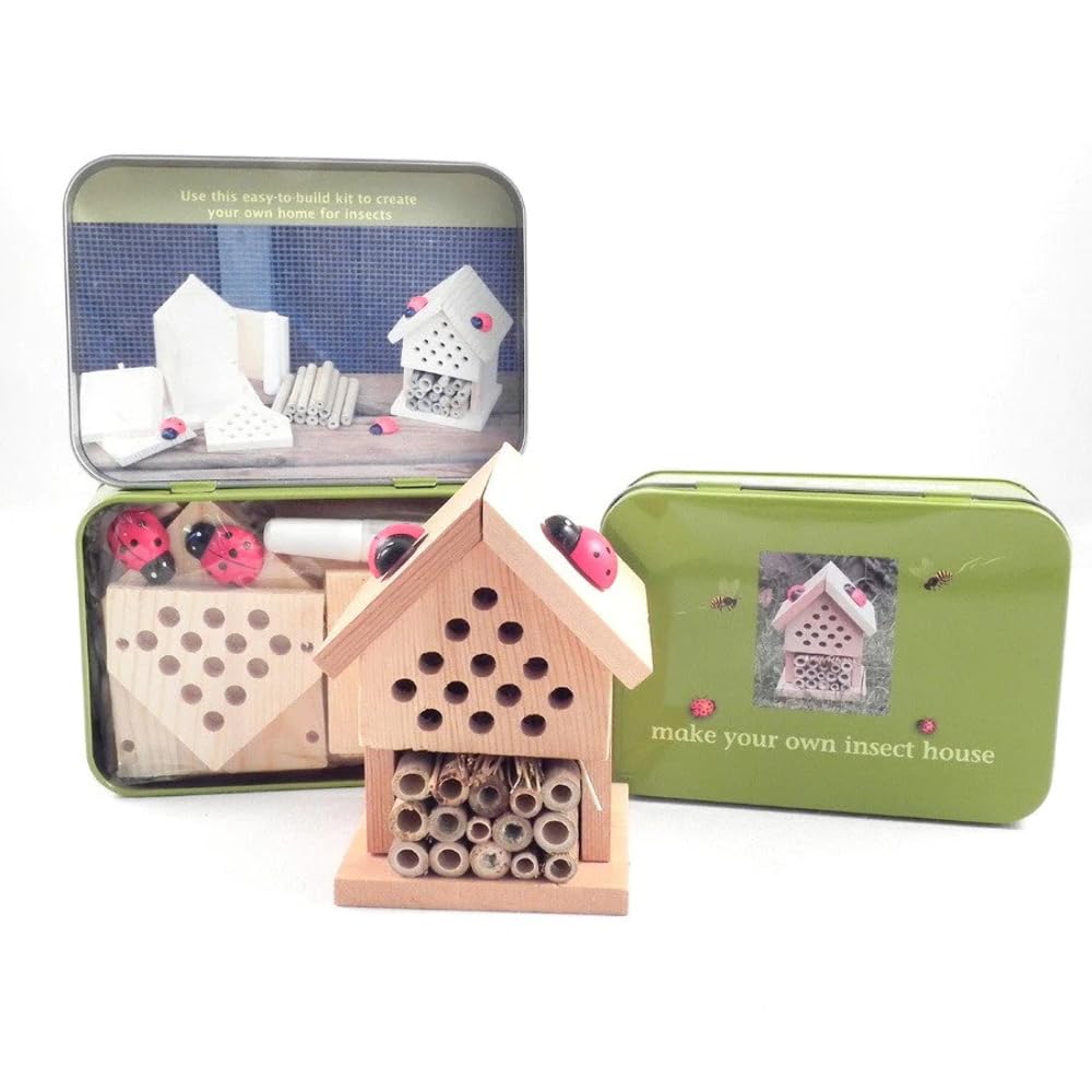 Make Your Own Insect House