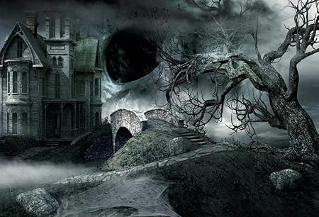 Amazon 5x3ftハロウィンdiy写真ブース背景怖いビンテージルームハロウィン背景 カーテンスタジオ小道具ハロウィーンの夜のカーニバルパーティーの背景製品写真背景写真スタジオ バックペーパー 背景布 通販