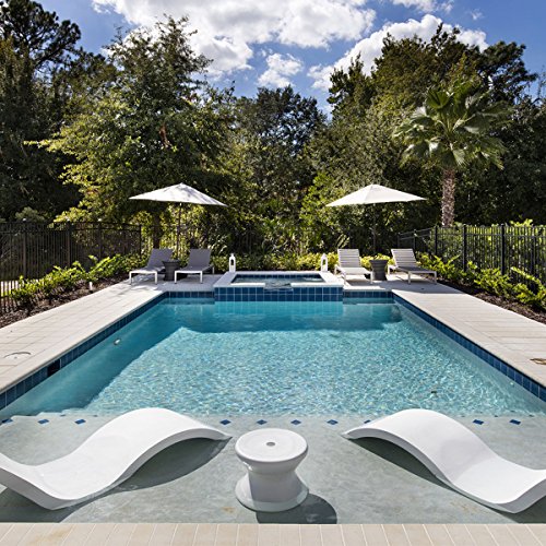 Ledge Lounger Signature Chaise Inside Pool & Sun Shelf Lounge Chair