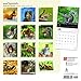 Squirrels 2018 Calendar