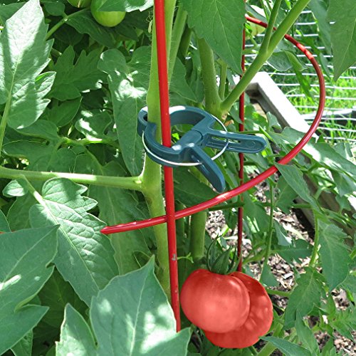 Plant Clips 40 PCS for Gardening Gentle Plant & Flower Clamps Supporting Climbing Vines Stalks Stems Works with Bamboo Stake Tomato Cage Trellis with Bonus 50M Plant Twines