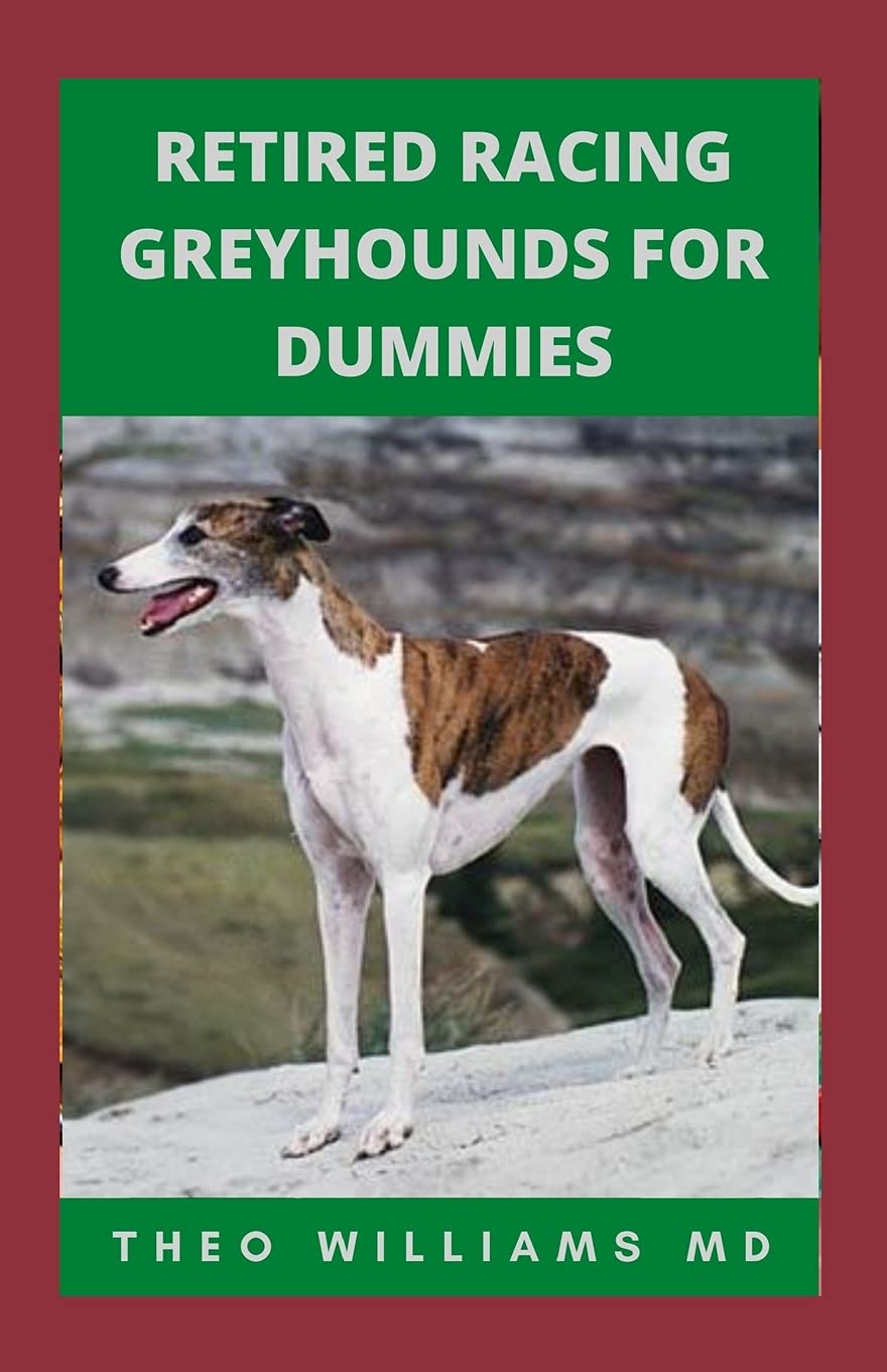 greyhound essentials