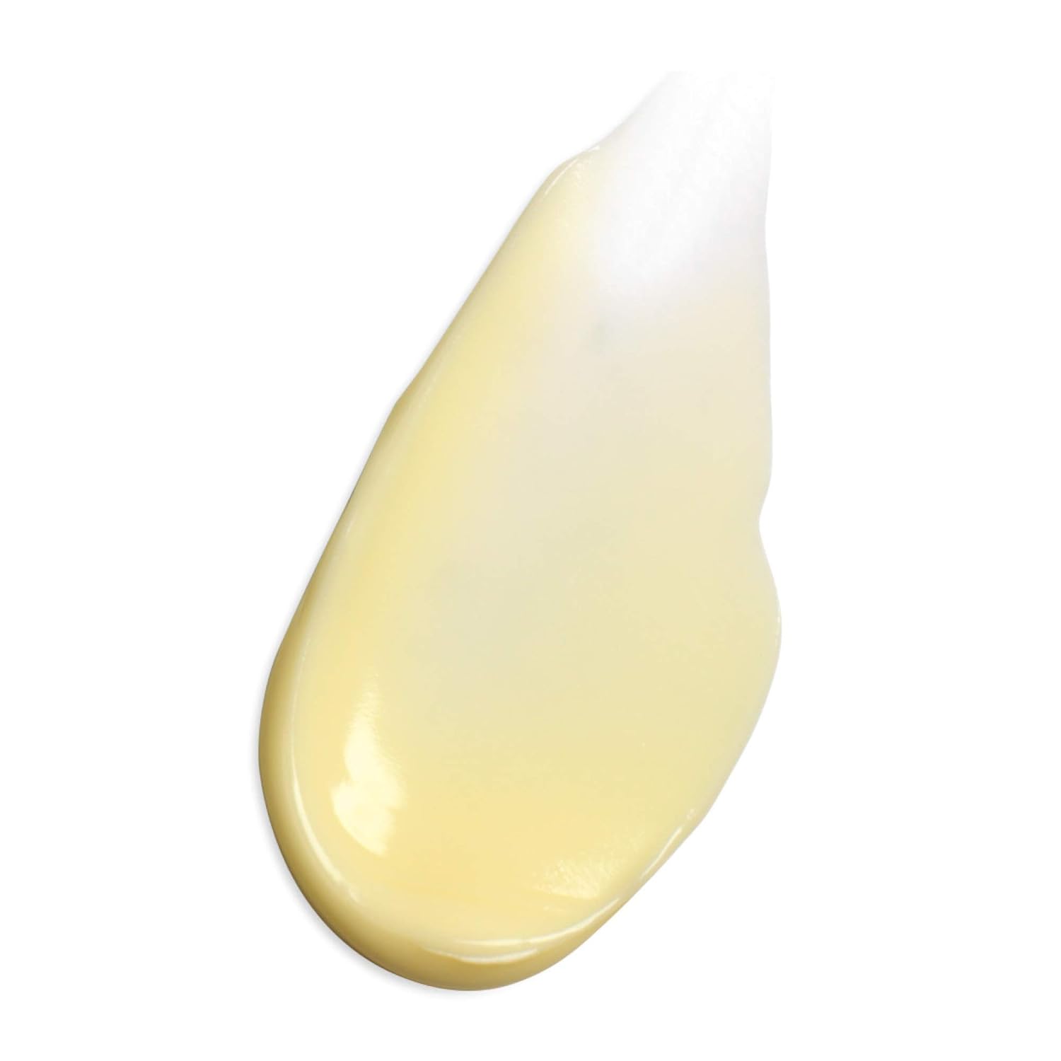 Amazon Com Dhc Eye Cream Firming Moisturizer 0 Oz Beauty