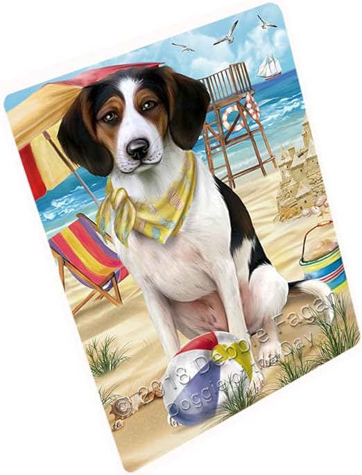 pet friendly blanket