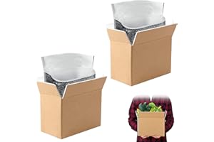 QLOUNI 2 Pack Hot & Cold Double Insulated Shipping Box with Aluminum Foil Insulated Bag Liner, Reusable Hot & Frozen Food Delivery Insulated Carton for Shipping, Mailing, Packing, Moving, 8x4x5 Inch