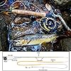 Sougayilang-Fly-Line-100FT-Floating-Weight-Forward-for-Fly-Fishing