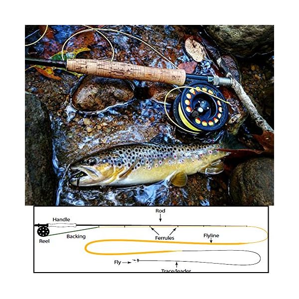 Sougayilang-Fly-Line-100FT-Floating-Weight-Forward-for-Fly-Fishing