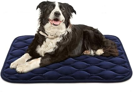 Amazon Com Aiperro Dog Crate Pad Washable Dog Bed Mat Dog