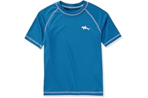 Big Chill Boys' Rash Guard Short Sleeve Long Sleeve Rashguard Swim Shirt UPF 50+