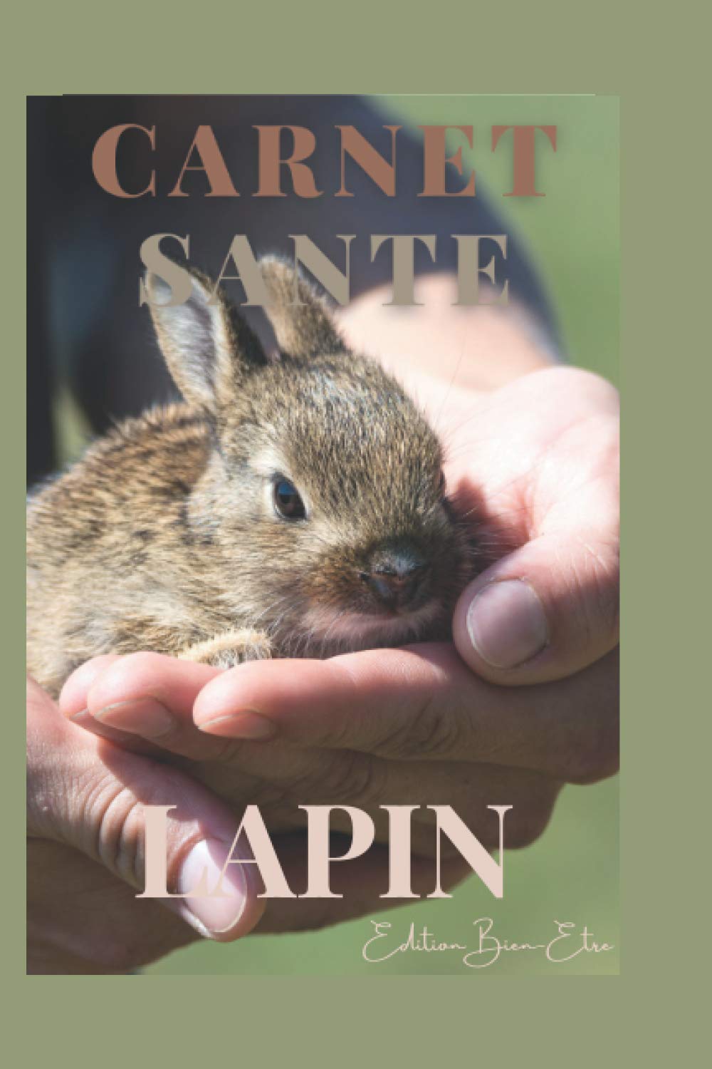 Carnet Sante Lapin Carmet De Sante Special Lapin A Remplir Vaccinations Visites Veterinaires Suivi Medical Ideal Pour Les Proprietaires De Pour Noel Ou Anniversaire French Edition Bien Etre Edition