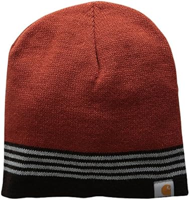 carhartt beanie chili
