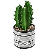 Briful Artificial Cactus Plant Realistic Mini Faux Succulents in Pots Black Ceramic Pots with Feet Small Fake Plants Decor for Home Table Office Desk Bathroom Shelf Living Room Indoor Decoration