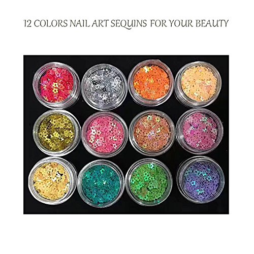 Like U Glitter Nail Art Chunky Sequins Manicure Glitter Powder Flakes 3D Nail Art Decoration, 12 Colors DIY Nail Art Kit (Hollow Plum)