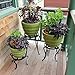 Achla Designs Patio Flower Pot Plant Stand, 8-in Hthumb 3