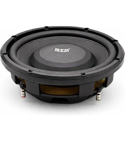 Amazon.com: Arc Audio ARC-12D2 12” 2 Ohm Subwoofer : Electronics